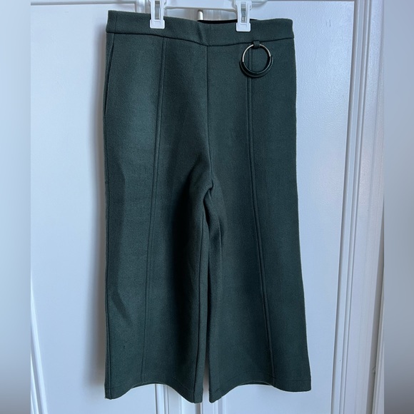 Sea Green Culotte Pants with side pockets, back secret zip closure.Size M - Picture 1 of 5